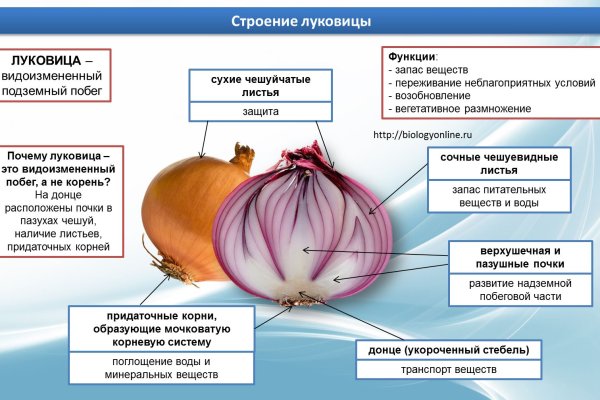 Что за площадка кракен